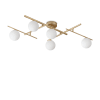 Miniatura Immagine principale 1