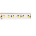 IDEAL LUX - STRIP LED 120 SMD 05W/M 4000K CRI90 IP65