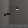 Miniatura Immagine ambientale 3