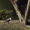 Miniatura Immagine ambientale 3