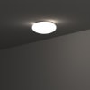 Miniatura Immagine ambientale 3