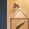 Miniatura Immagine ambientale 3