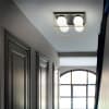 Miniatura Immagine ambientale 3