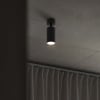 Miniatura Immagine ambientale 3