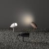 Miniatura Immagine ambientale 3