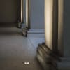 Miniatura Immagine ambientale 3