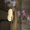 Miniatura Immagine ambientale 3