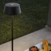 Miniatura Immagine ambientale 3