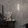 Miniatura Immagine ambientale 3