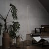 Miniatura Immagine ambientale 3