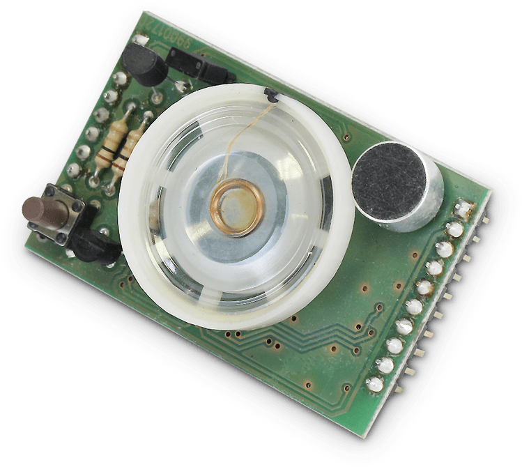 IESS - SINTESI VOCALE PER SERIE ETR ETRVOICE