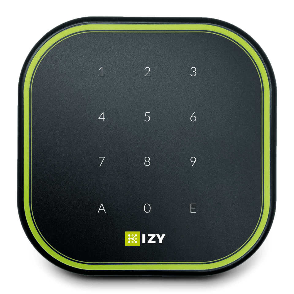 IESS - TASTIERA (12) STAND-ALONE+ALIM.230V/12V KIZYT