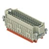Miniatura Immagine principale 1