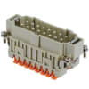 Miniatura Immagine principale 1