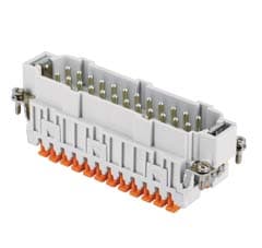 I.L.M.E. - FR.SP.24 POLI SQUICH JEI