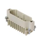 I.L.M.E. - FRUTTO SPINA 25 POLI CDM 25