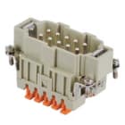 I.L.M.E. - FR.SPINA 10 POLI SQUICH CSHM 10