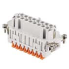 I.L.M.E. - FR.PR.16 POLI SQUICH JEI JSHF 16