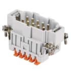 I.L.M.E. - FR.SP.10 POLI SQUICH JEI JSHM 10