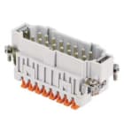 I.L.M.E. - FR.SP.16 POLI SQUICH JEI JSHM 16