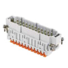 I.L.M.E. - FR.SP.24 POLI SQUICH JEI JSHM 24