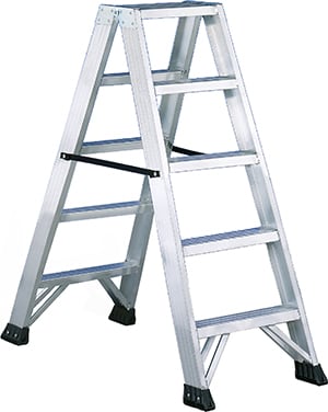 INTERCABLE TOOLS - Scala di sicurezza a doppia salita 2x5