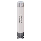 ITALWEBER - FUS LIMITATORE A6K/F 600VAC 50A