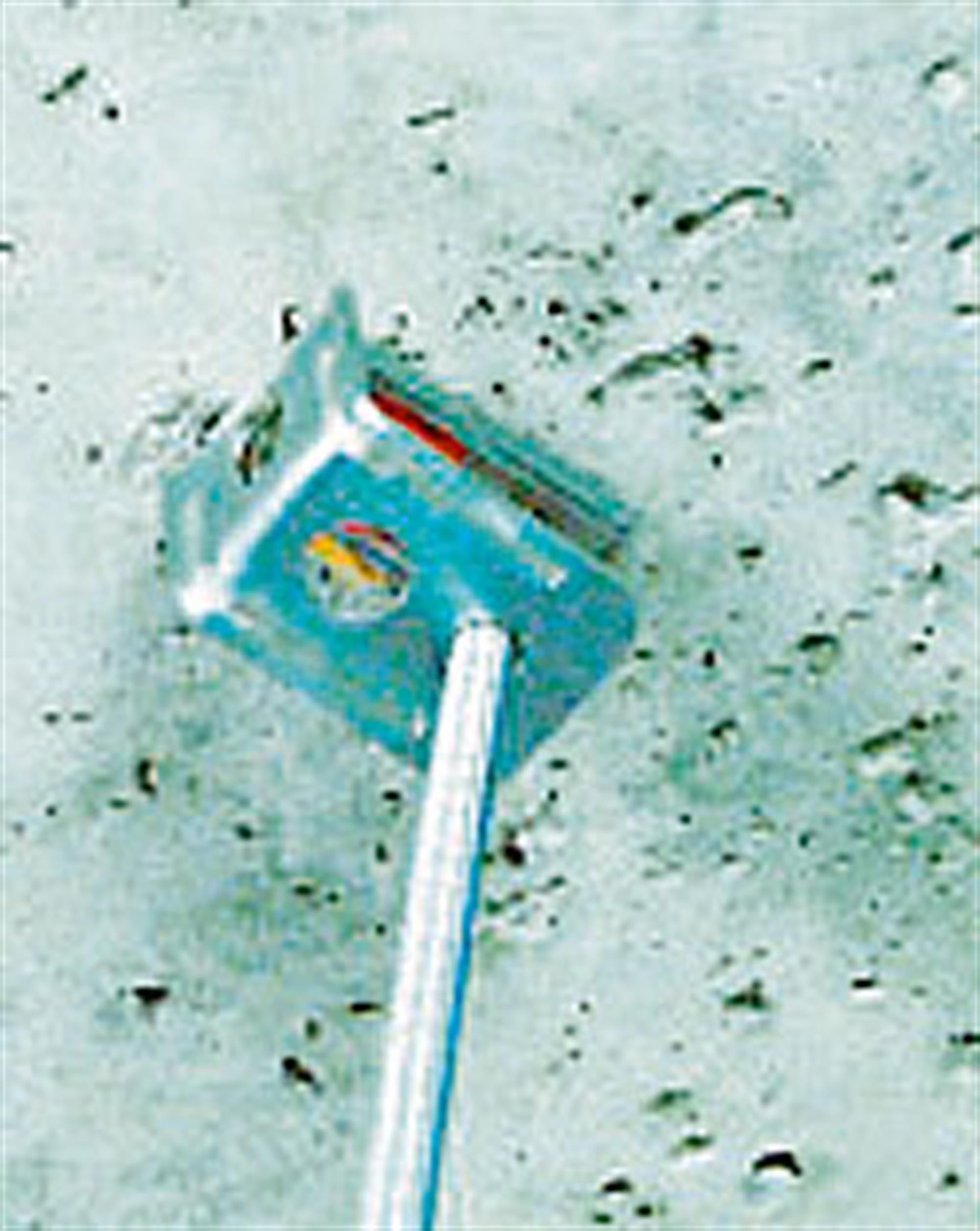 SPIT - CLIP TRH M6/M8