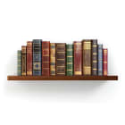 ELEMATIC - ANCORANTE EMS PA 6 + ACCIAIO 14.14.145