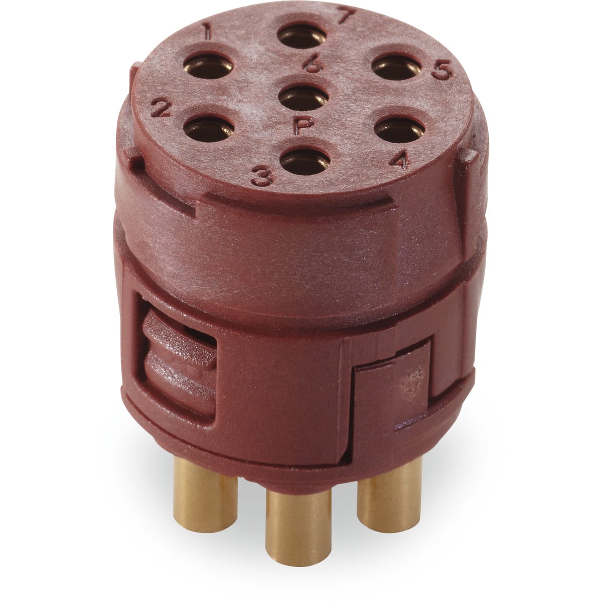 LAPP - EPIC SIGNAL M23 7P BLMS (5)