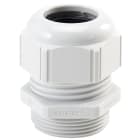 LAPP - SKINTOP STR PG 21 RAL 7035 LGY