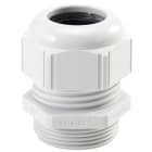 LAPP - SKINTOP ST-M 50X1.5 RAL 7035 LGY