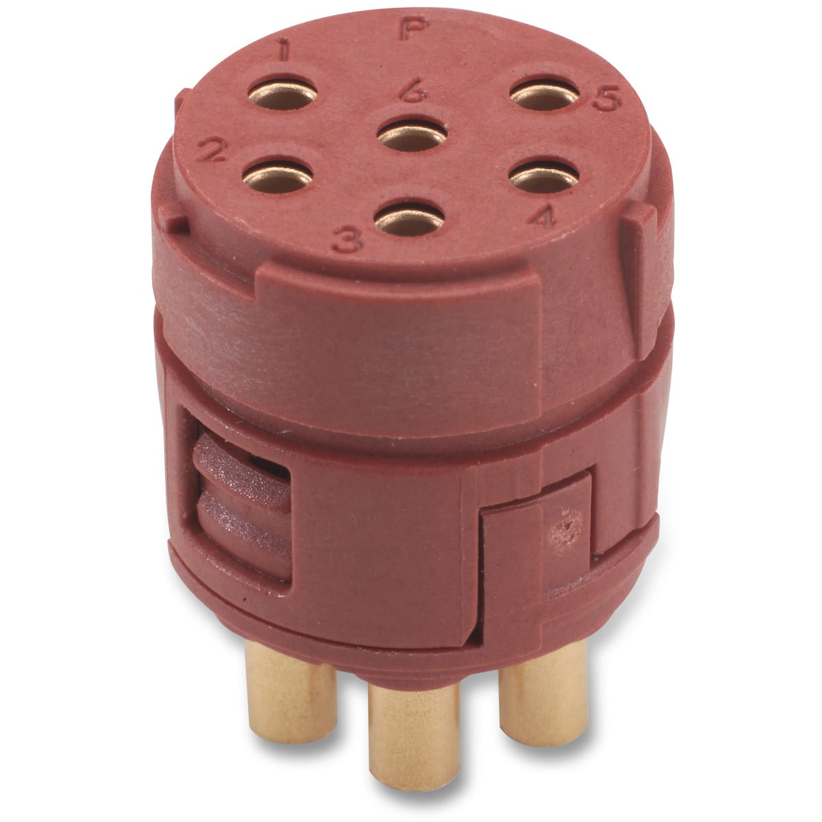 LAPP - EPIC SIGNAL M23 6P BLMS (5)