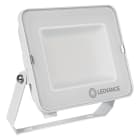 LEDVANCE - Floodlight compact 50W 865 sym 100 WT LEDV FL comp V 50W 865 sym 100 WT