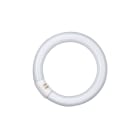 LEDVANCE - LUMILUX T9 22W/865 G10Q FLH1 OSRAM