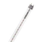 LEDVANCE - LED Tube T8 36 EM Fluora 1200mm 15W OSRAM efficiente e luminoso per illuminazione interna.
