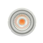 LEDVANCE - Lampada LED, OSRAM PrevaLED COIN 111 COB G2 4300-830-24D-G2.