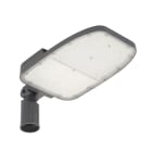 LEDVANCE - Streetlight Area Large RV35ST 120W765 GY LEDV SPD LA V.