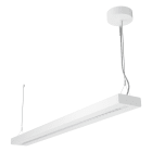 LEDVANCE - Luce LED, 1200mm, 55W, Bianco Caldo, Diretta/Indiretta