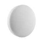 LEDVANCE - Lampada LED da esterno, 24W, 4000K, Bianco, Superficie, Resistente, IP65, 24W, 4000K