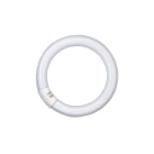 LEDVANCE - Lampada Fluorescente Circolare, 32W, 2700K, Osram - Lumilux T9, Uso Domestico