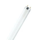 LEDVANCE - Lampada LED, 36W, 1m, Osram Lumilux T8, Luce Fredda