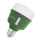 LEDVANCE - LEDS T80GROW 20W 230V CL E27 FS1 OSRAM