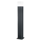 LEDVANCE - Lampada Smart RGBW WiFi, 50cm, Multicolor, LEDV