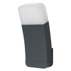 LEDVANCE - Smart+ Curve RGBW LEDV, WiFi, Outdoor, Alfanum.