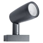 LEDVANCE - Lampada Smart WiFi Giardino RGBW 1P, LEDV Smart+ Multicolor RGB + W