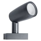 LEDVANCE - Lampada Smart Giardino WiFi RGBW, Multicolore, Esterno, 1 Pezzo