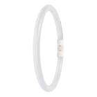 LEDVANCE - Lampada LED T5 FC esterna, 11.6W 865 2GX13