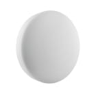 LEDVANCE - Lampada LED da esterno, 24W, 4000K, Bianco, Superficie, Resistente, IP65, 24W, 4000K