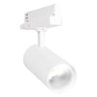 LEDVANCE - TR SP XR DA V 30W 930 24DEG WT LEDV
